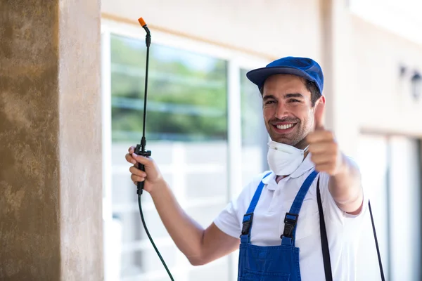 San Clemente Wasp Removal