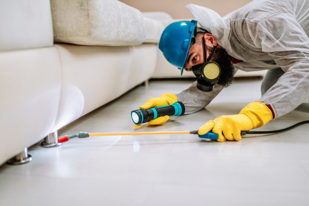 San Clemente Termite Control