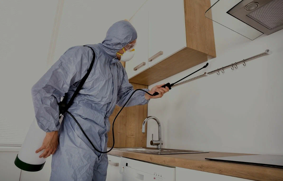 San Clemente pest managment